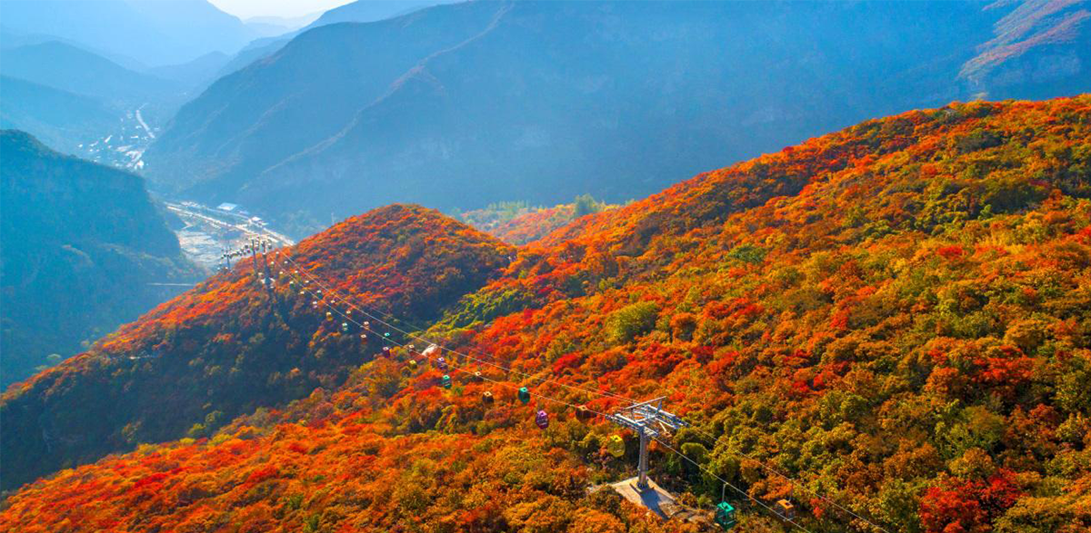 房山住建中介备案查询